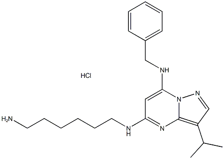 BS-181 HCl