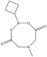 Cyclobutylboronic acid MIDA ester