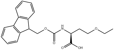 (2S)-4-ethoxy-2-(9H-fluoren-9-ylmethoxycarbonylamino)butanoic acid