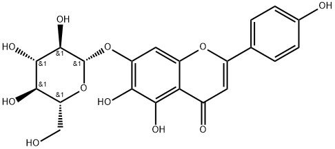 PLANTAGININ