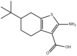 2-amino-6-tert-butyl-4,5,6,7-tetrahydrobenzo[b]thiophene-3-carboxylic acid