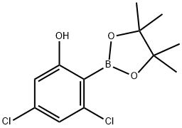 Phenol, 3,5-dichloro-2-(4,4,5,5-tetramethyl-1,3,2-dioxaborolan-2-yl)-