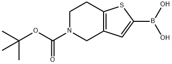 5-(tert-butoxycarbonyl)-3a,4,5,6,7,7a-hexahydrothieno[3,2-c]pyridin-2-ylboronic acid