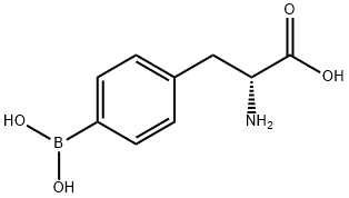 4-BORONO-D-PHENYLALANINE B10 ENRICHED