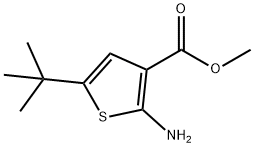 methyl 2-amino-5-tert-butylthiophene-3-carboxylate