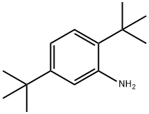 2,5-DI-TERT-BUTYLANILINE