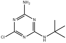 TERBUTHYLAZINE-DESETHYL