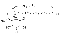 MYCOPHENOLIC ACID GLUCURONIDE