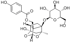 oxypaeoniflora