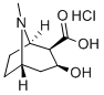 ECGONIN HCL