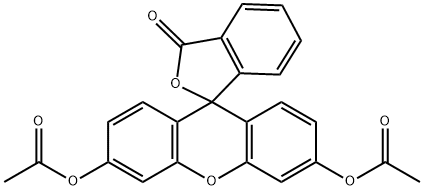 Fluorescein diacetate