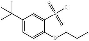 5-TERT-BUTYL-2-PROPOXY-BENZENESULFONYL CHLORIDE