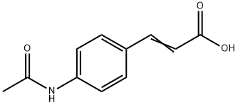 4-ACETAMIDOCINNAMIC ACID