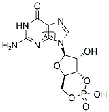 GUANOSINE 3':5'-CYCLIC MONOPHOSPHATE