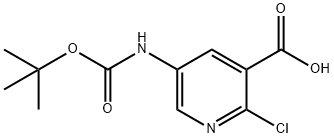 5-TERT-BUTOXYCARBONYLAMINO-2-CHLORO-NICOTINIC ACID