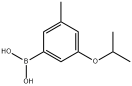 3-Isopropoxy-5-methylphenylboronic acid