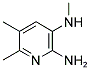 2-AMINO-5,6-DIMETHYL-3-METHYLAMINOPYRIDINE