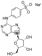 4-[(9-BETA-D-RIBOFURANOSYL-9H-PURIN-6-YL)AMINO]-BENZENESULFONIC ACID SODIUM